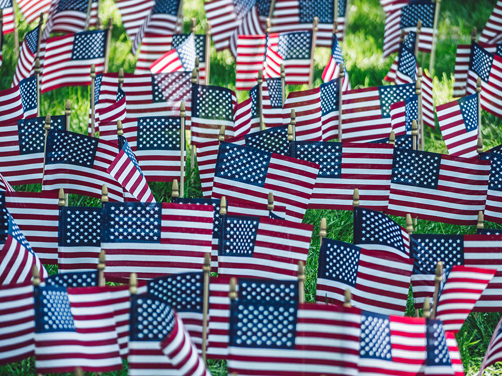 American Flags stuck in lawn for Memorial Day